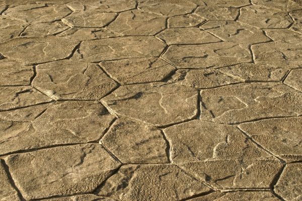 Cost of Concrete Driveway Refinishing in Cary